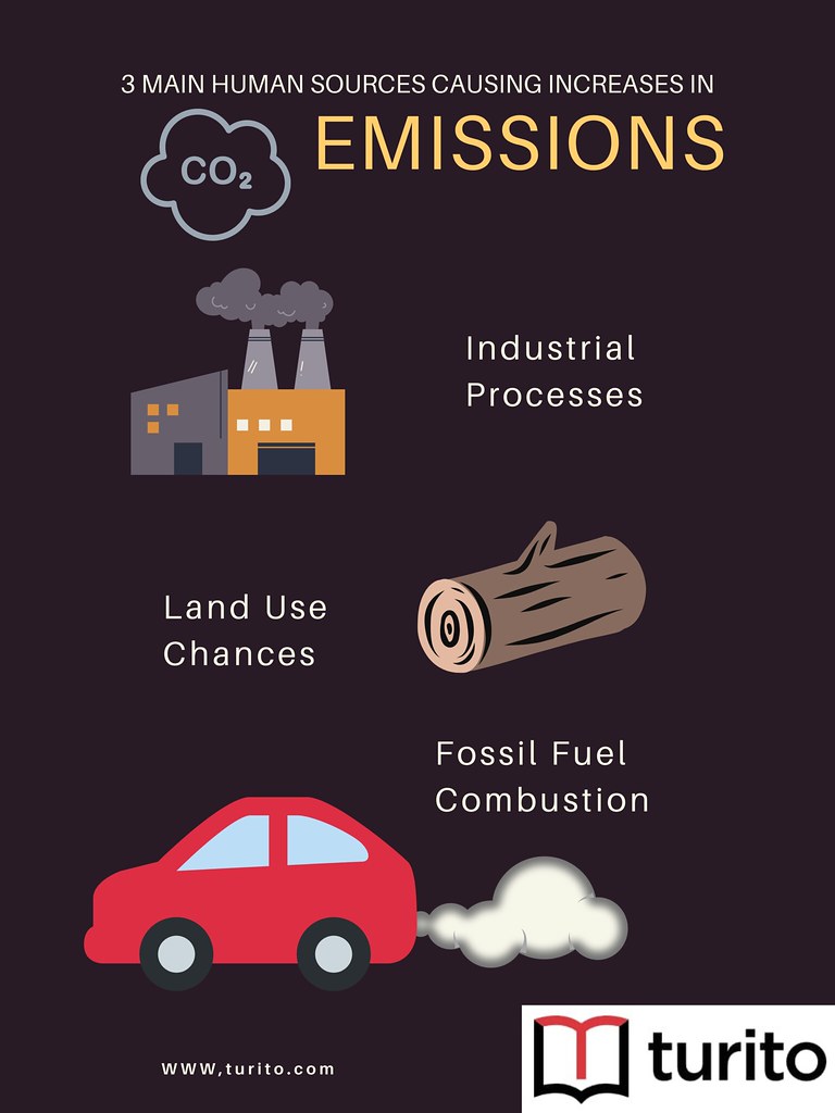 Carbon Dioxide Environmental Problems The carbon dioxide … Flickr