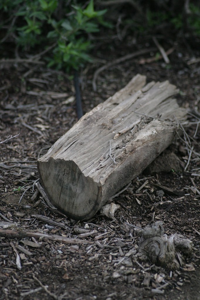 ZR4K6330 Kennard Robinson Flickr