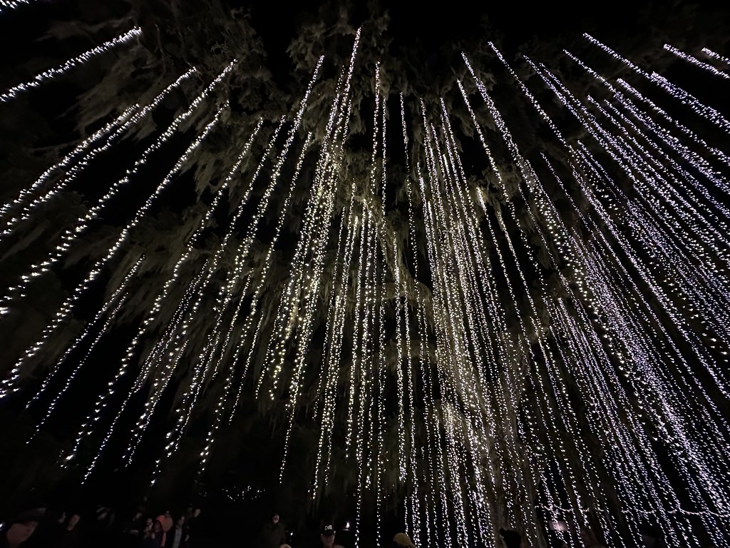 Night of a Thousand Candles Karen D Flickr