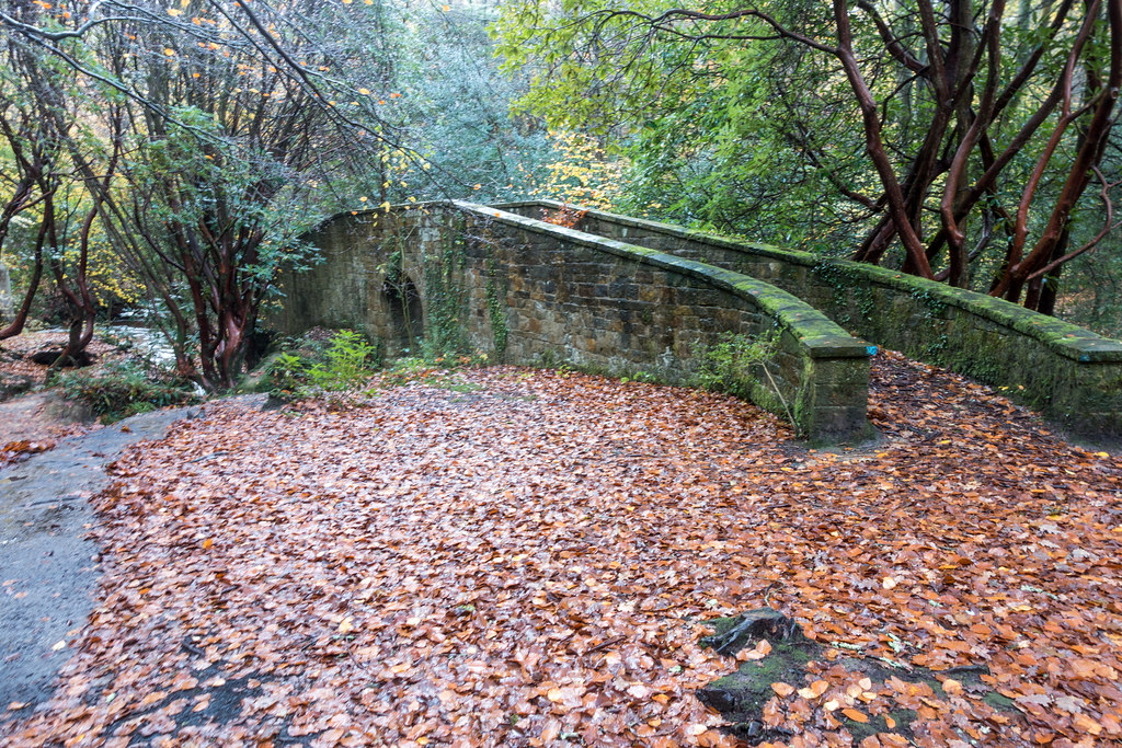 DSC05317 Chelwood Gate Hidden Garden. Morham White Flickr
