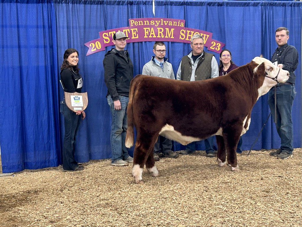 IMG5610 (1) Grand Champion Hereford Bull PA Farm Show Flickr
