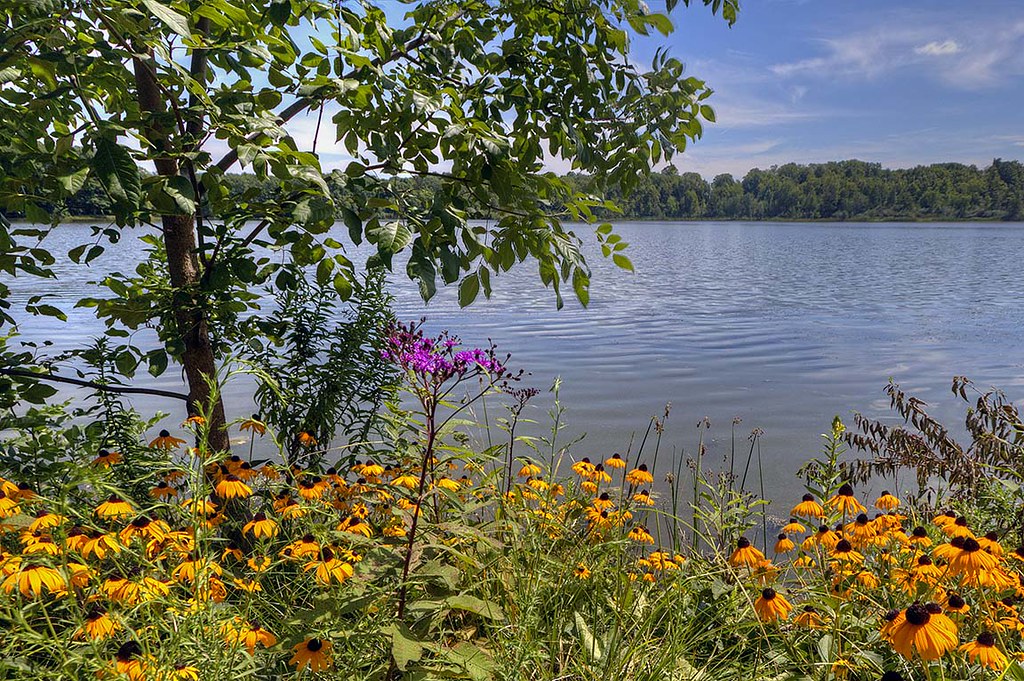 Sunny Lake, Aurora, Ohio Sunny Lake, Aurora, Ohio Flickr