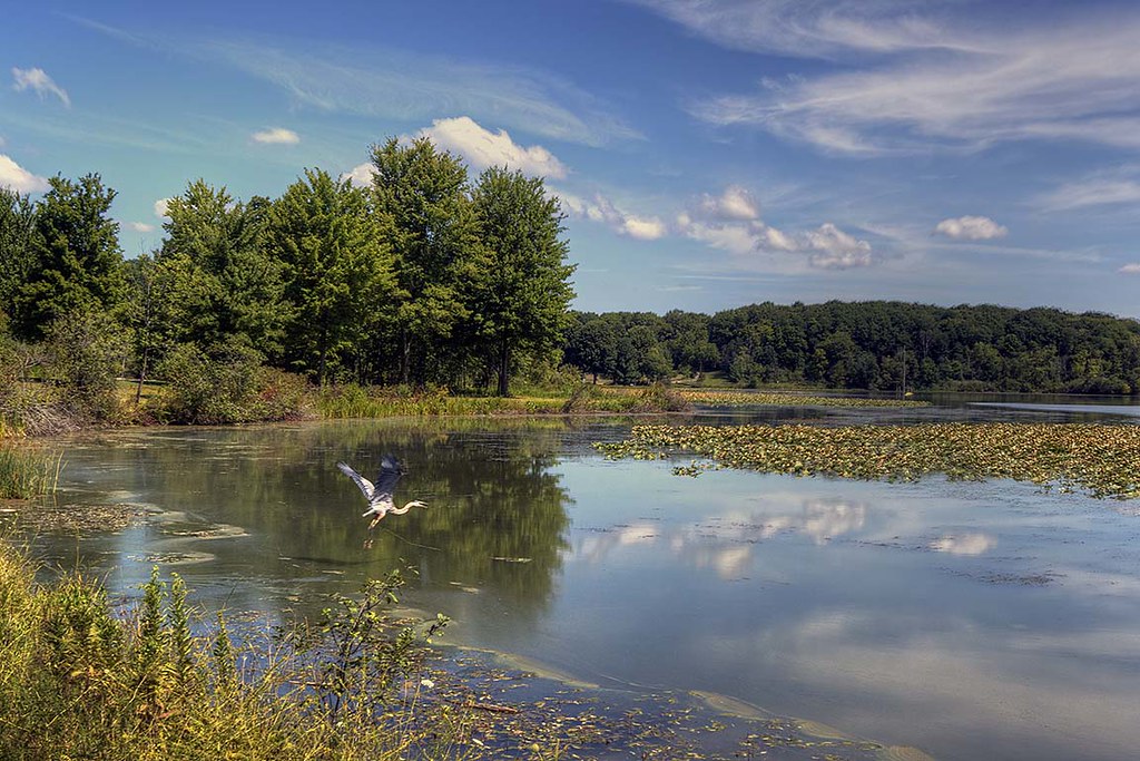 Sunny Lake, Aurora, Ohio Sunny Lake, Aurora, Ohio Flickr