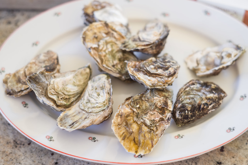 Oysters Victoria Elise Crabbe Flickr