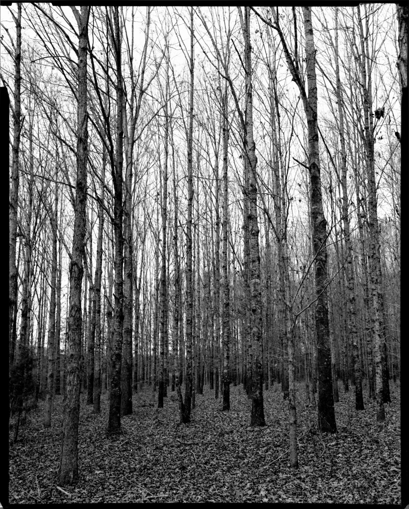 old selma rd. crown graphic w/135mm f5.6 schneider symmar … jim