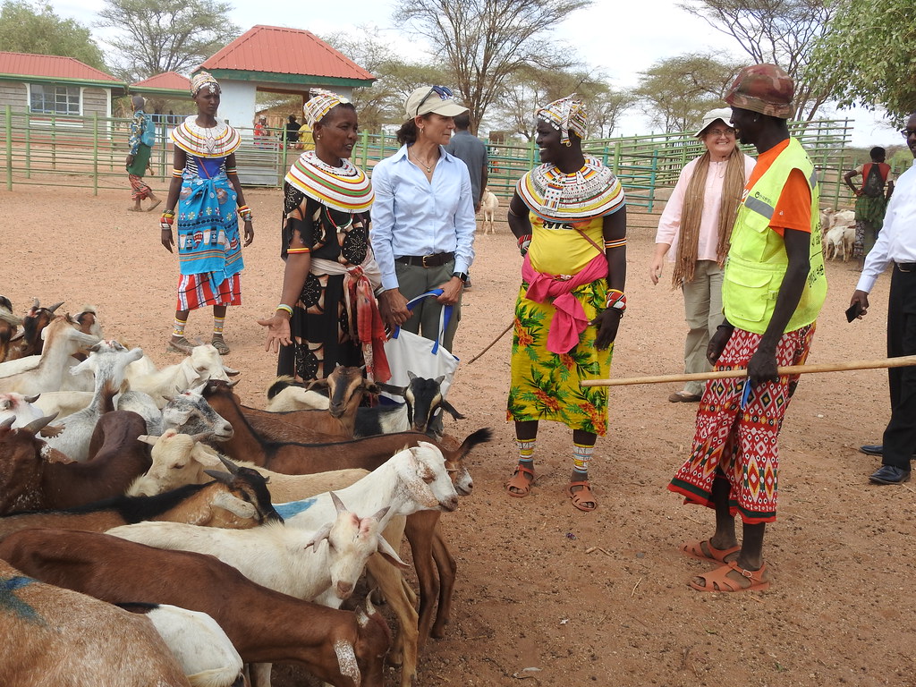 DSCN4197 Kenya Livestock Market Systems Activity Flickr