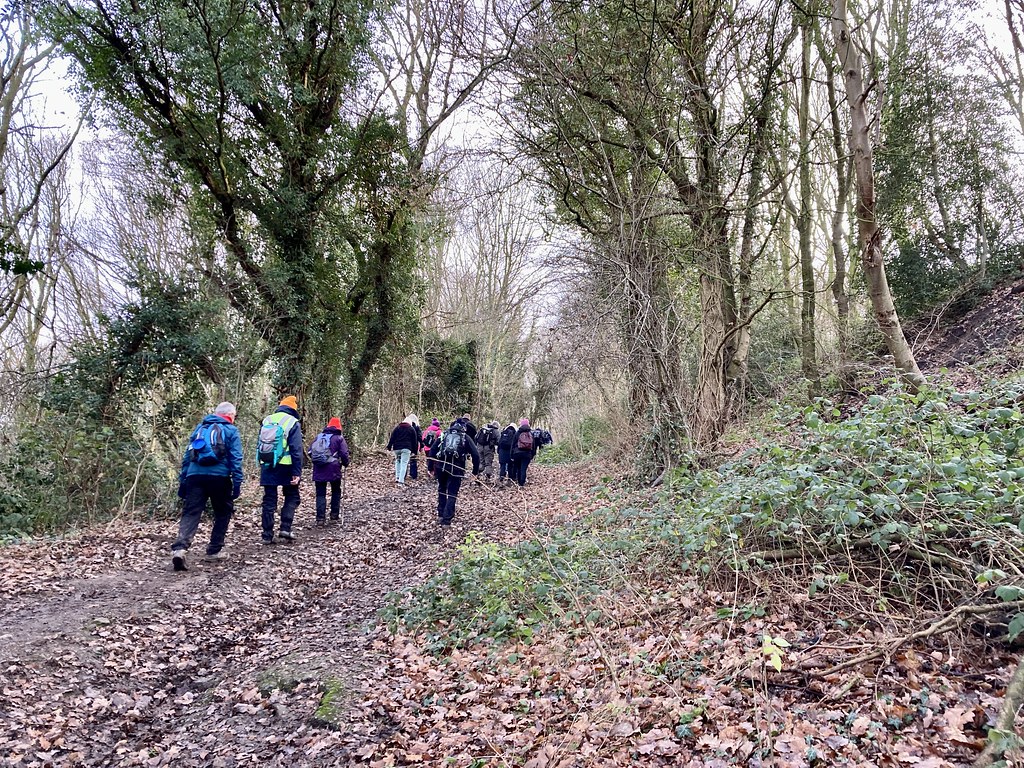 to Old Denaby and then up through Denaby Wood Doncaster Ramblers Flickr