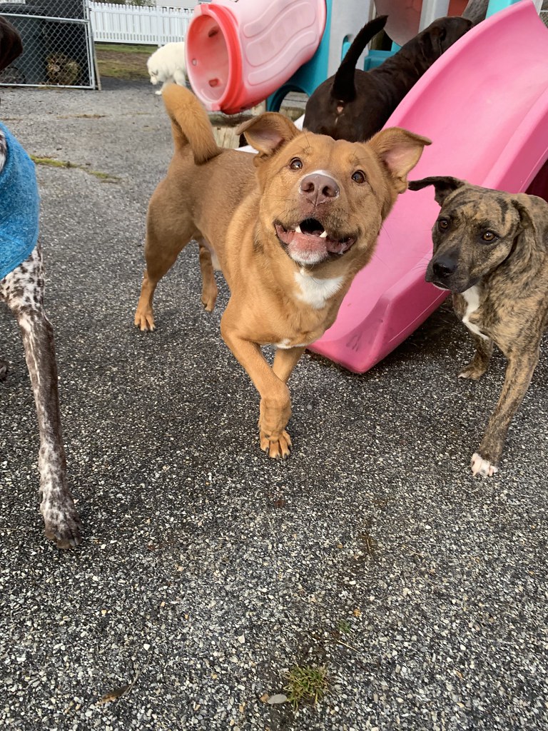 Untitled Greenlin West Flickr