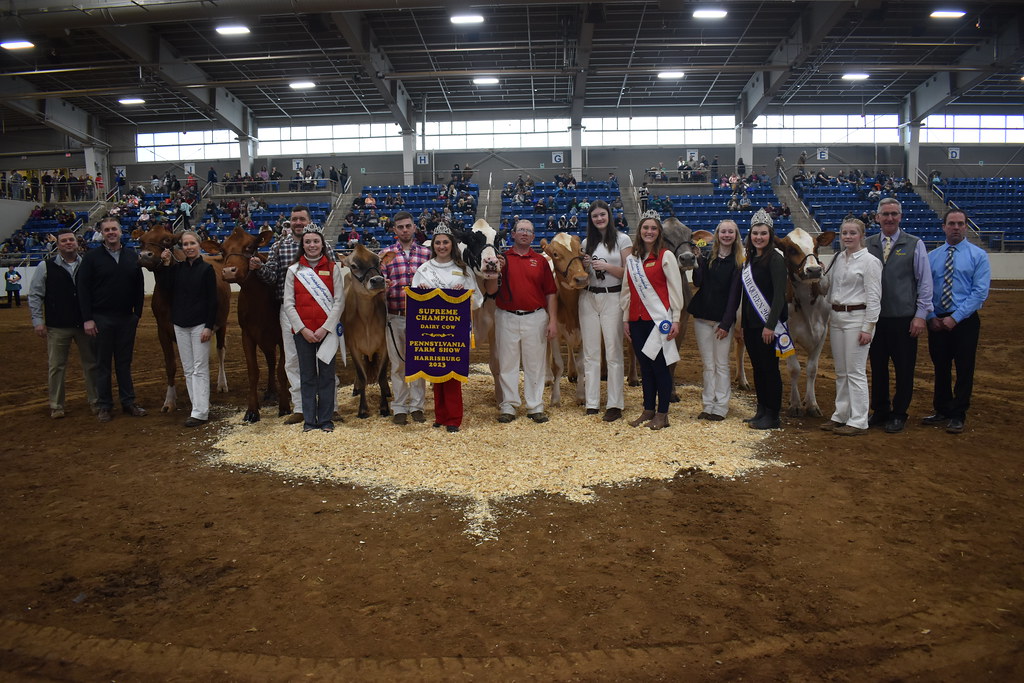 2023 Dairy Cattle Show/Supreme Champion Flickr