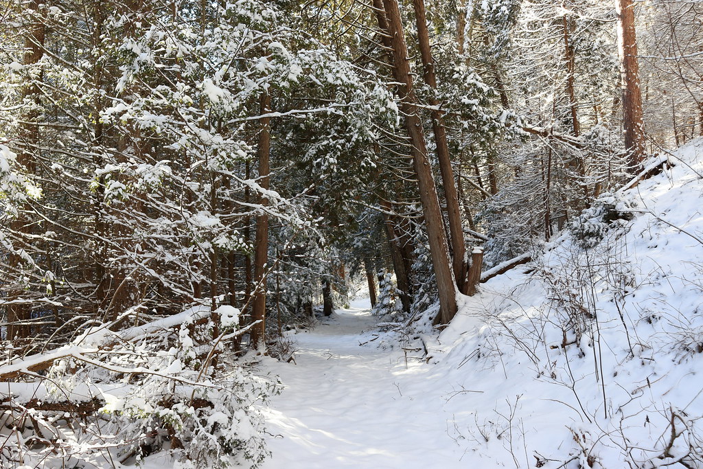 Winter Landscape 4 Goodrich Loomis CA Eric Jacques Flickr