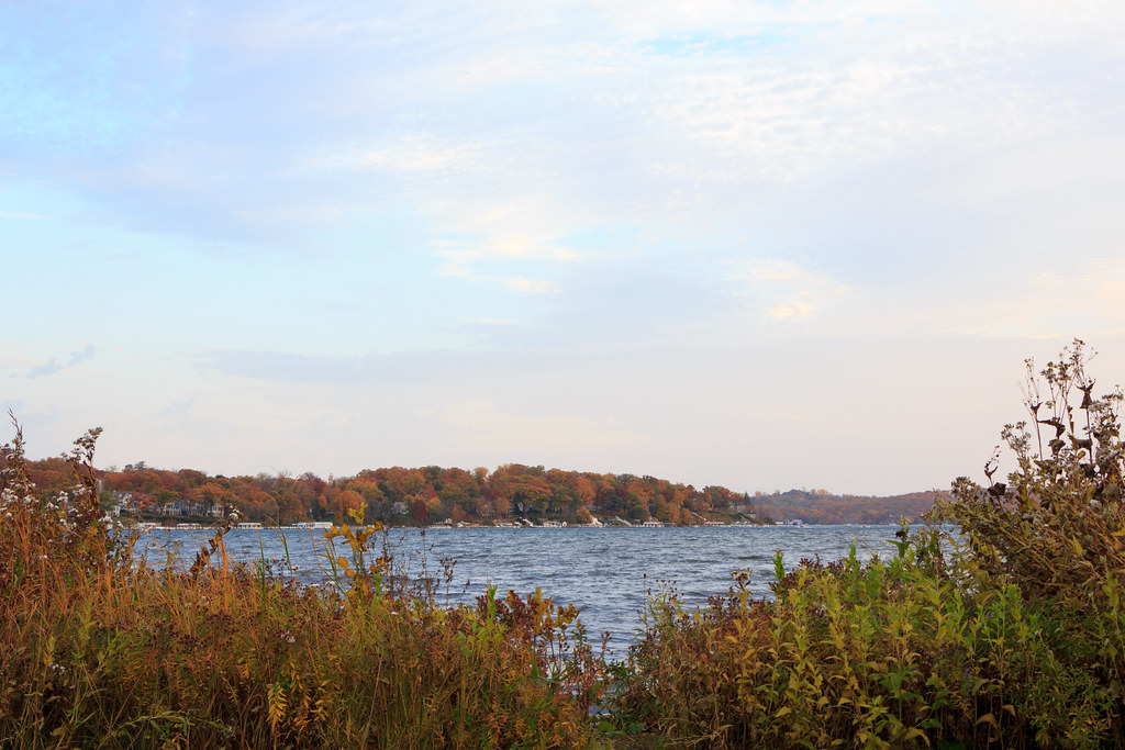 Lake Framed by Plants Edgewater Park Williams Bay, WI Flickr