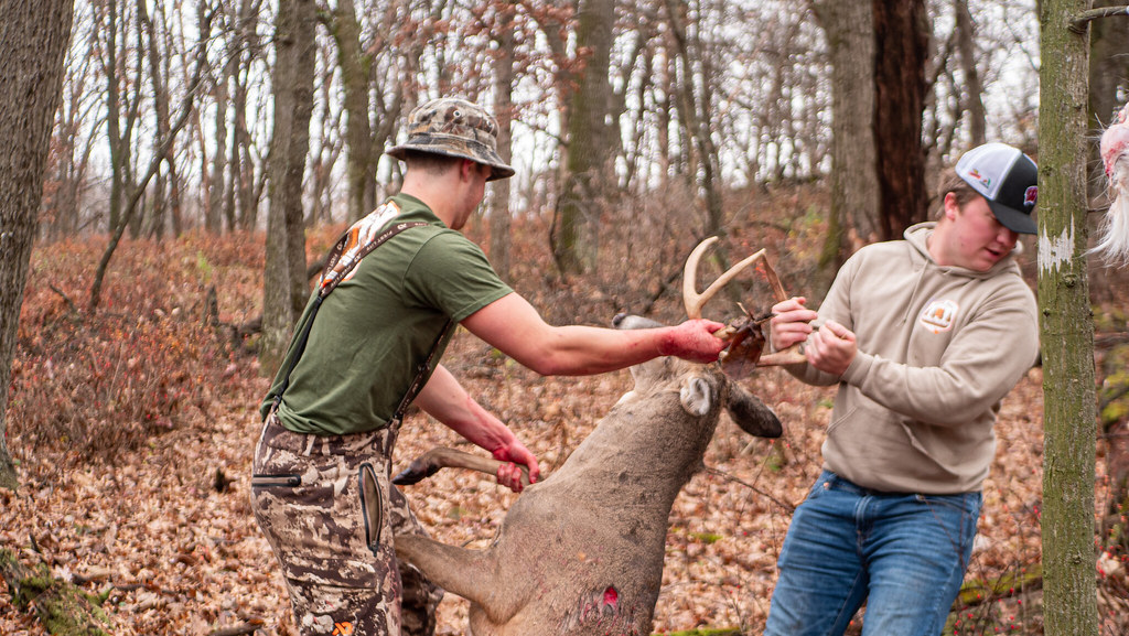 WI ARCHERY SEASON Mack Mella Flickr
