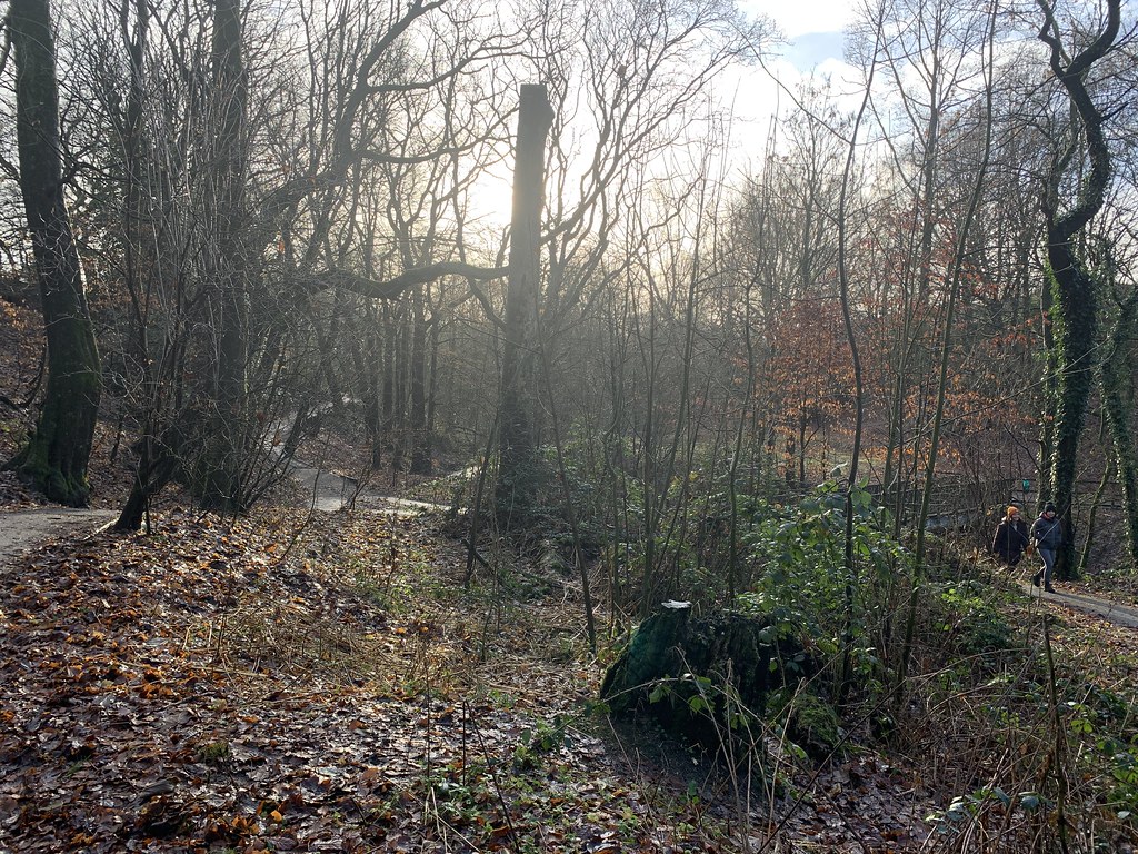 2023 Hall Lee Bank Wood Westhoughton Mike Whitby Flickr