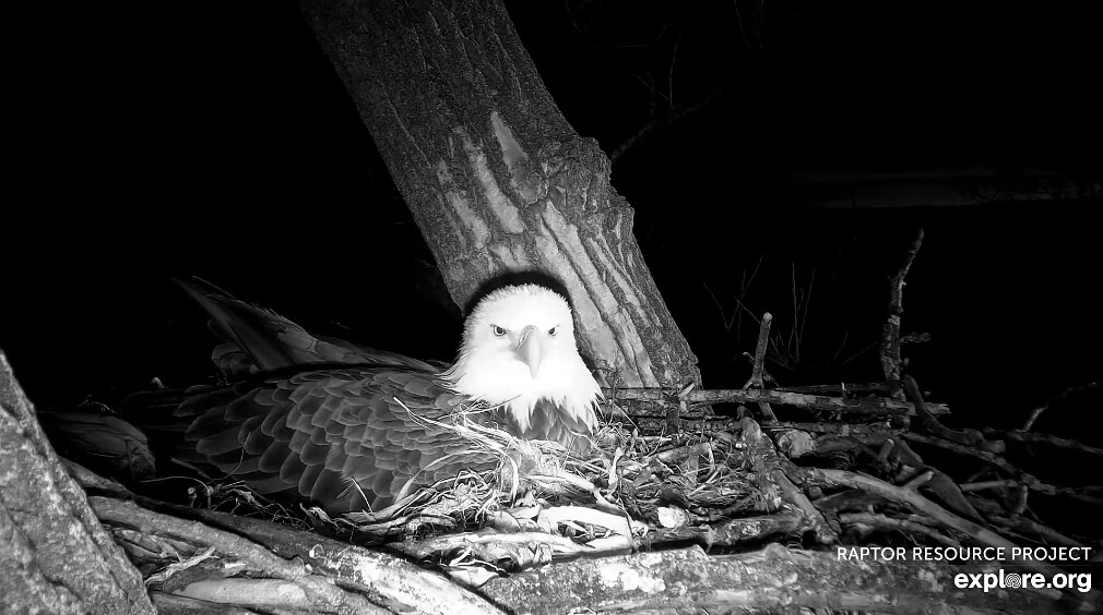 Screenshot (11) Lisa Guy Flickr