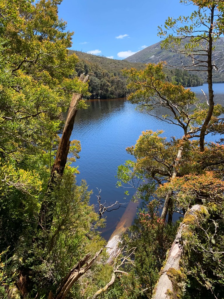 Dove Lake Photographed on a walk around Dove Lake during a… Flickr