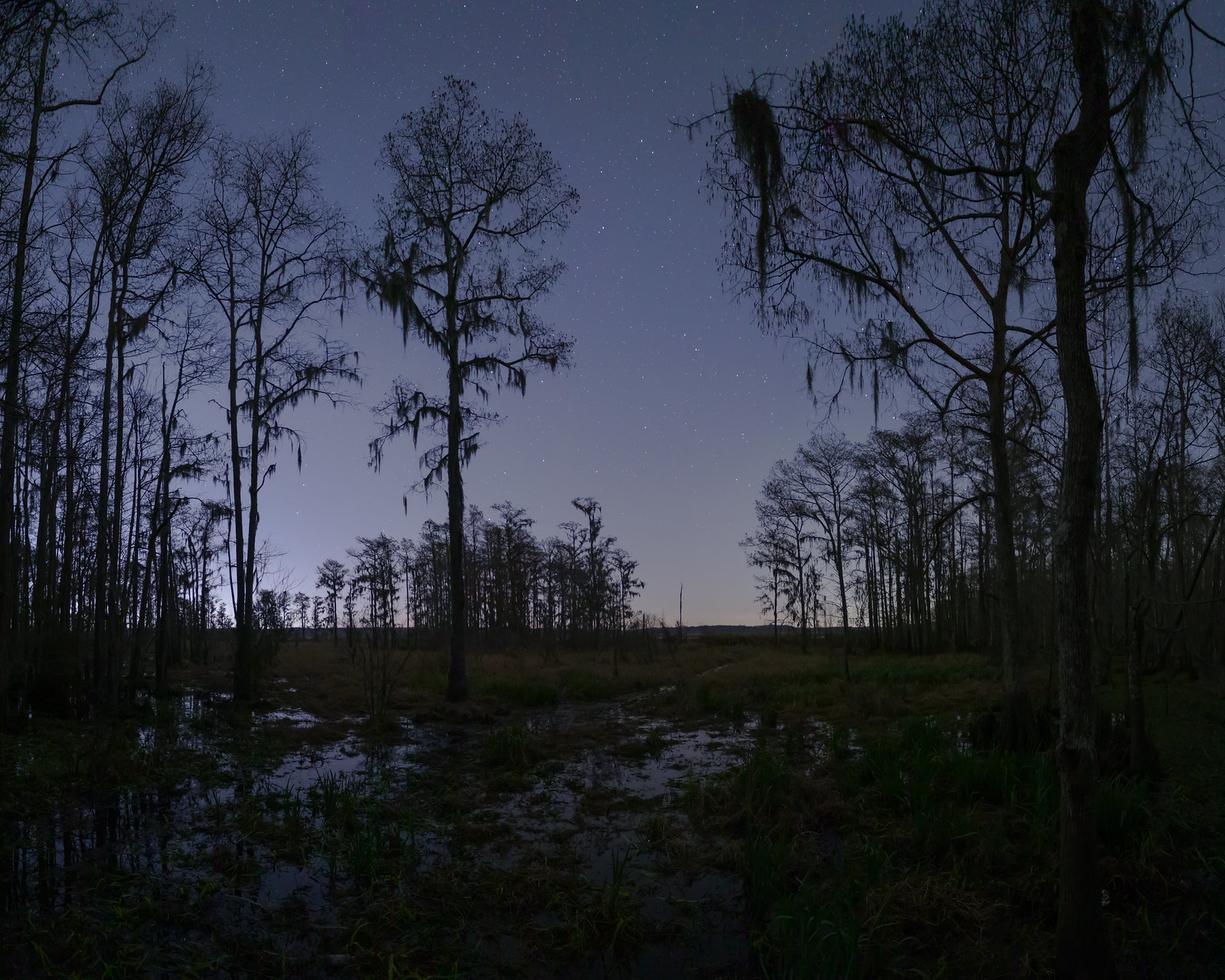 Manchac Swamp After Dark FM Forums