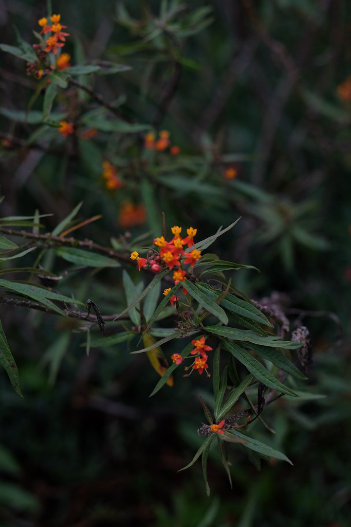 DSCF0030 Kennard Robinson Flickr