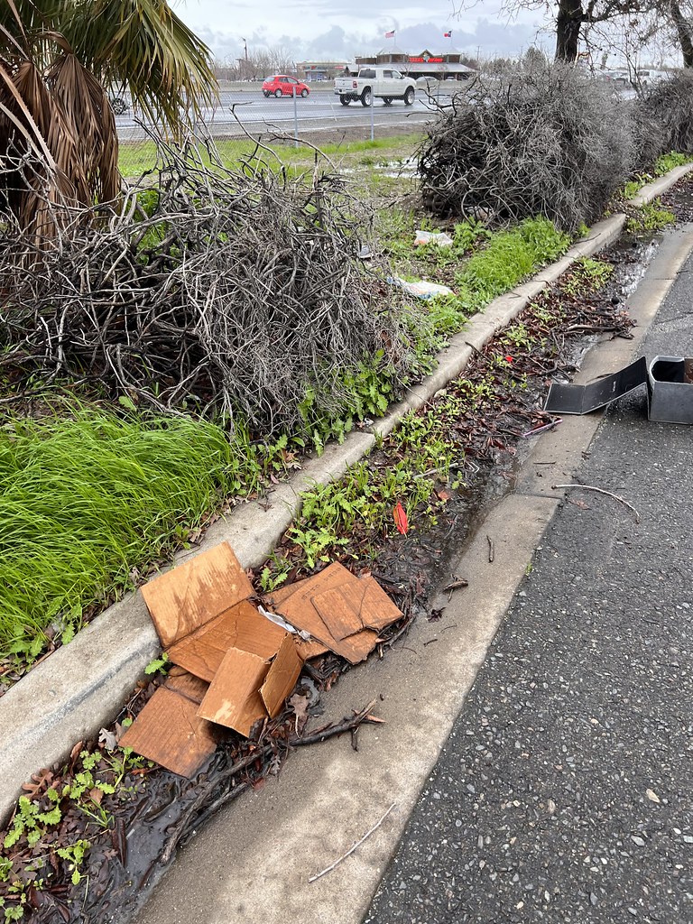 E. Stockton Blvd Rudy Garcia Flickr