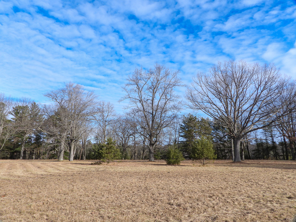 46 Sanctuary little prairie, Sanctuary, Wilber Township, I… Flickr