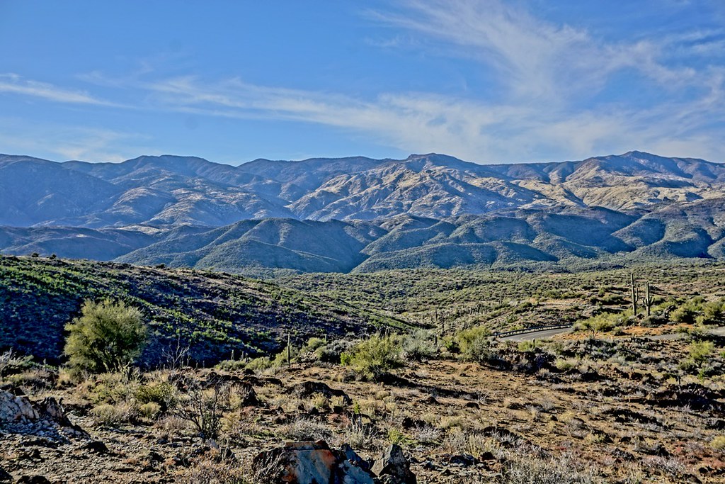 Bumble Bee rd Arizona BdoubleT&I Flickr