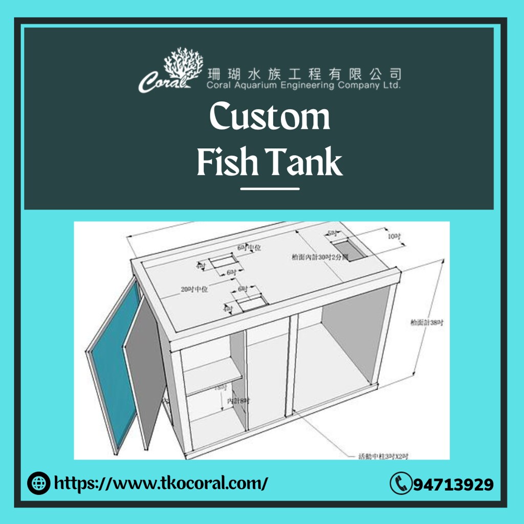 Custom Fish Tank 1 For your entire fish tank requirement… Flickr
