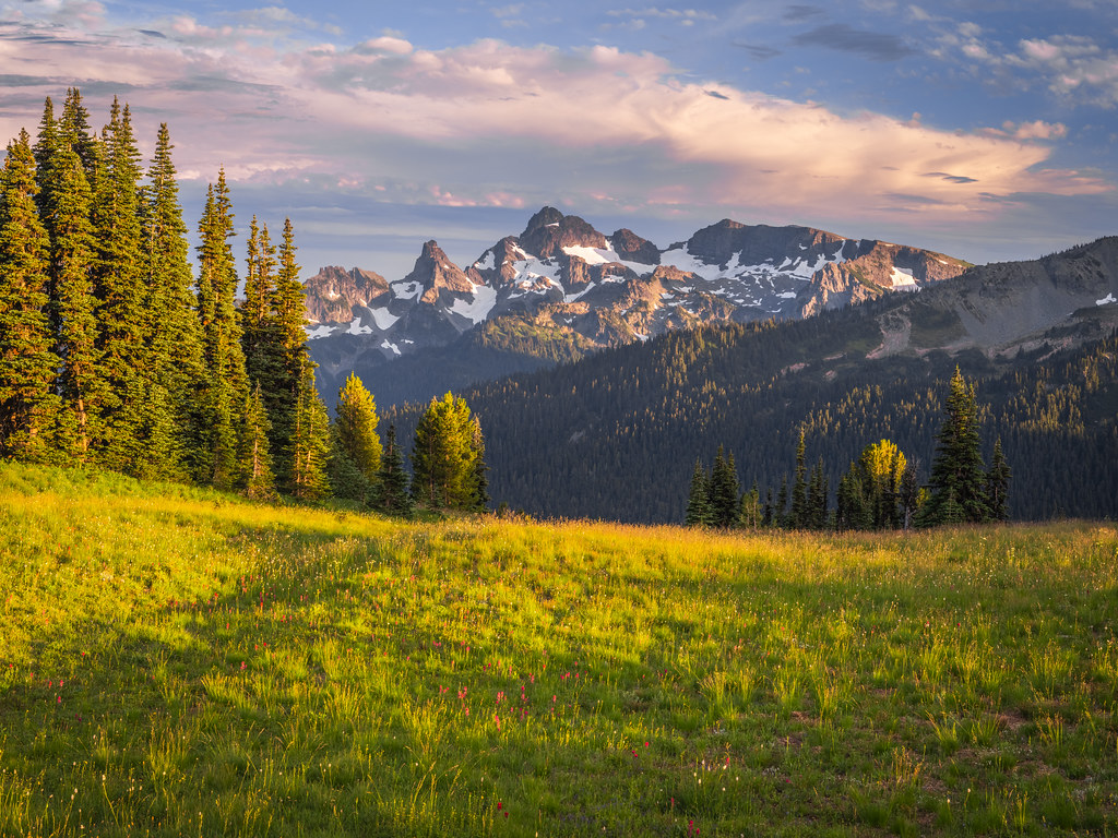 Sunrise Meadows Wildflowers Mount Rainier National Park Wa… Flickr