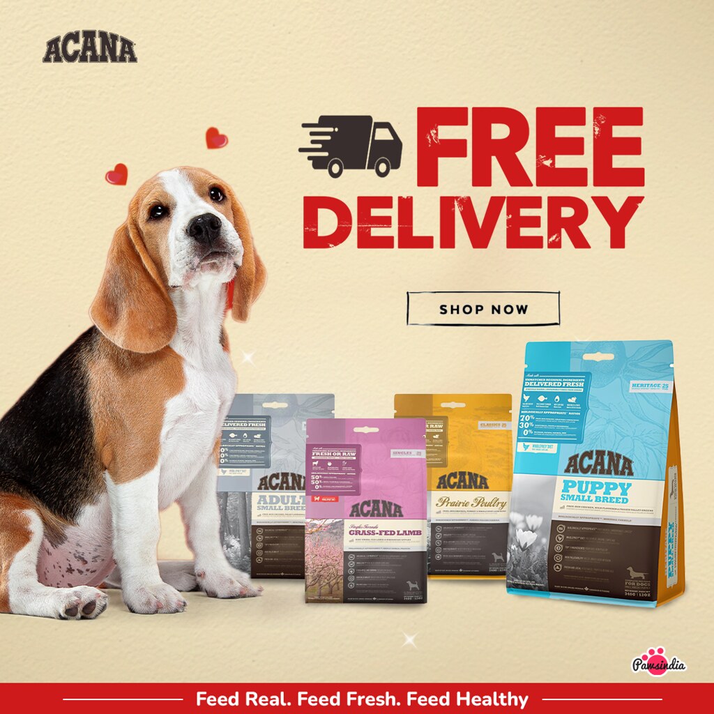 Acana Dog 1x1 Buy Dog Food from Best Brands at Best Prices