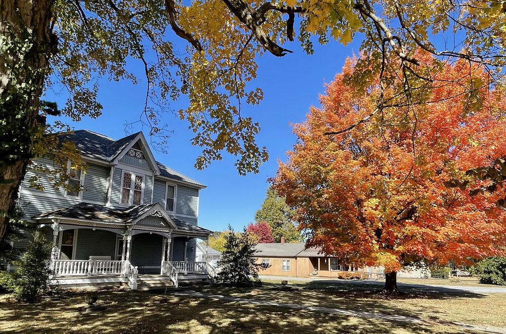 Home for Fall Carterville, Illinois cowyeow Flickr