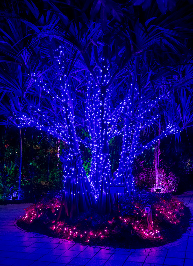 Night Lights 5 Naples Botanical Garden, Naples, FL Johnso… Flickr