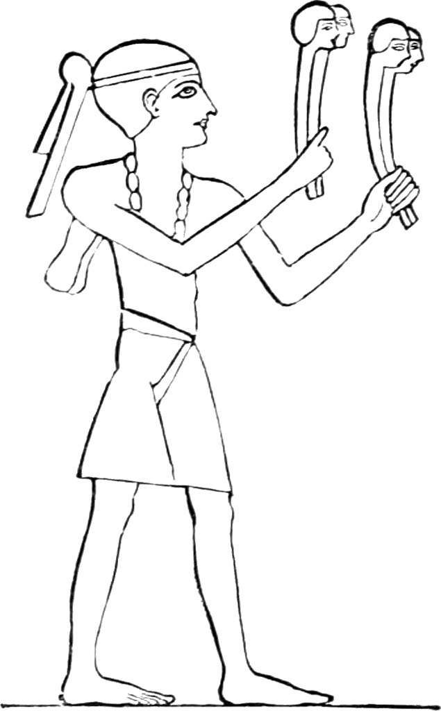 17 Egyptian Crotola or Frank Zimmerman Flickr