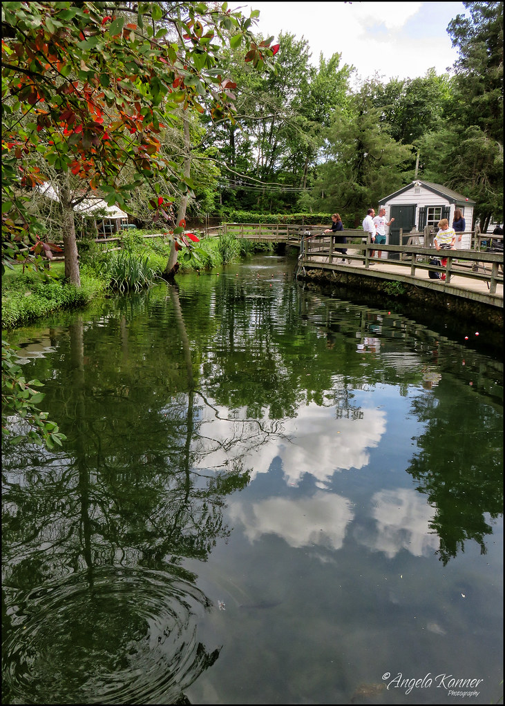 Cold Spring Harbor Fish Hatchery... angela kanner Flickr