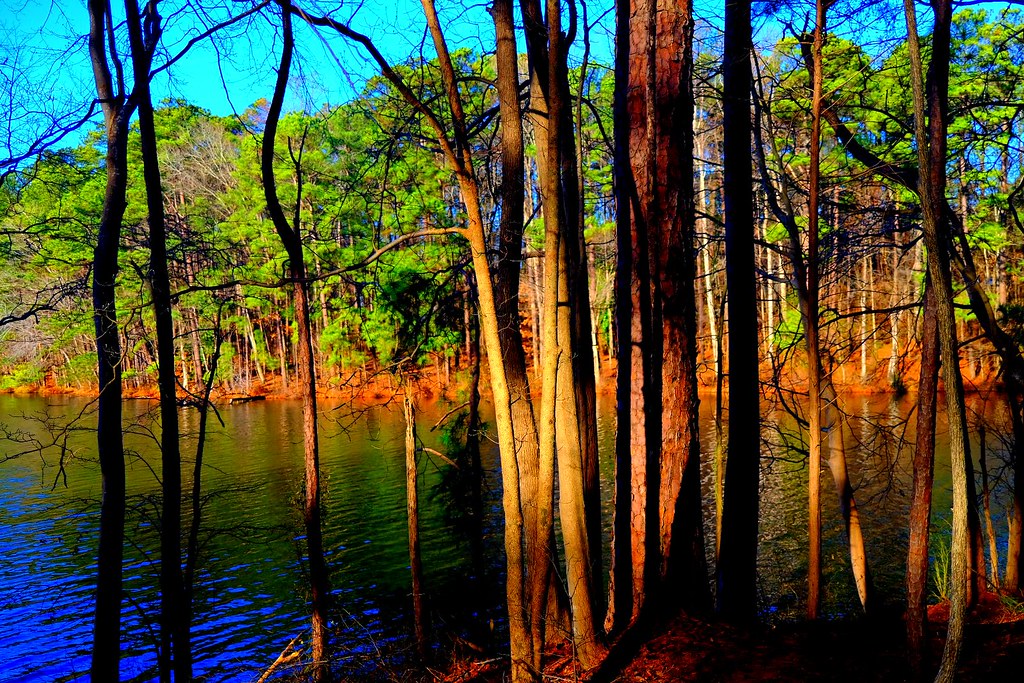 Lake Johnson, Raleigh, NC a photo on Flickriver