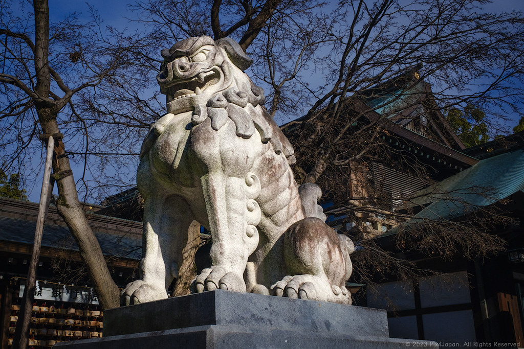 Stone LionDog Statue The komainu (狛犬) of Samukawa Shrine … Flickr