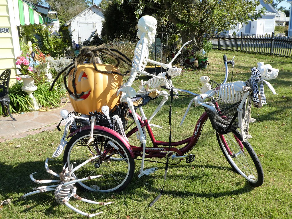 Halloween 2021 Chincoteague, VA In October 2021, we spen… Flickr