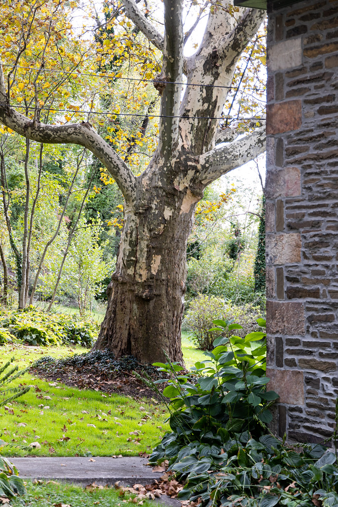 Grounds, No. 252 Hughes Hill Road, Hamburg, Pennsylvania, United States