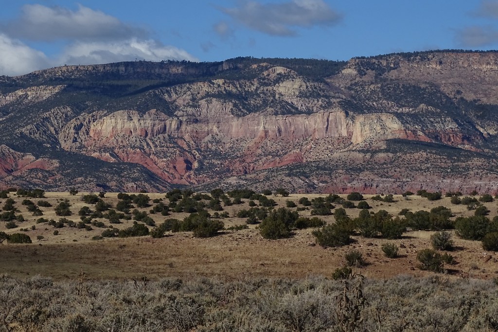 NM1017CCoyoteMesa Alta Wesley Mathews Flickr