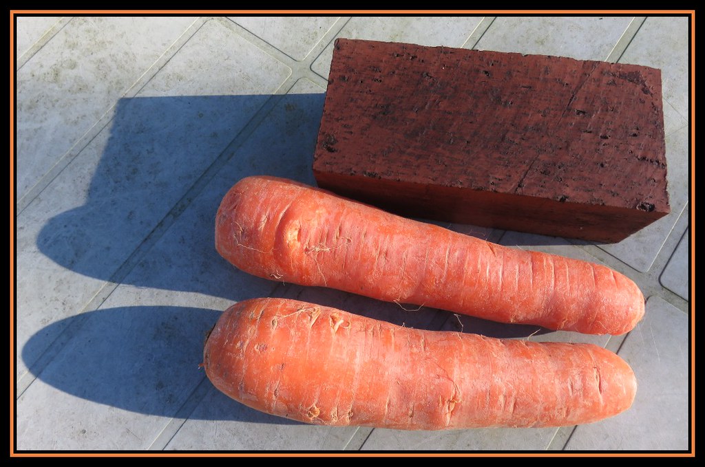 Incredible Giant Rabbit Food Ideas