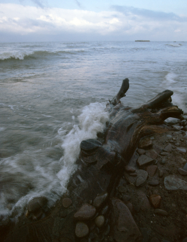 19750100.12 driftwood, beach, Lake Ontario Olcott, NY Walter