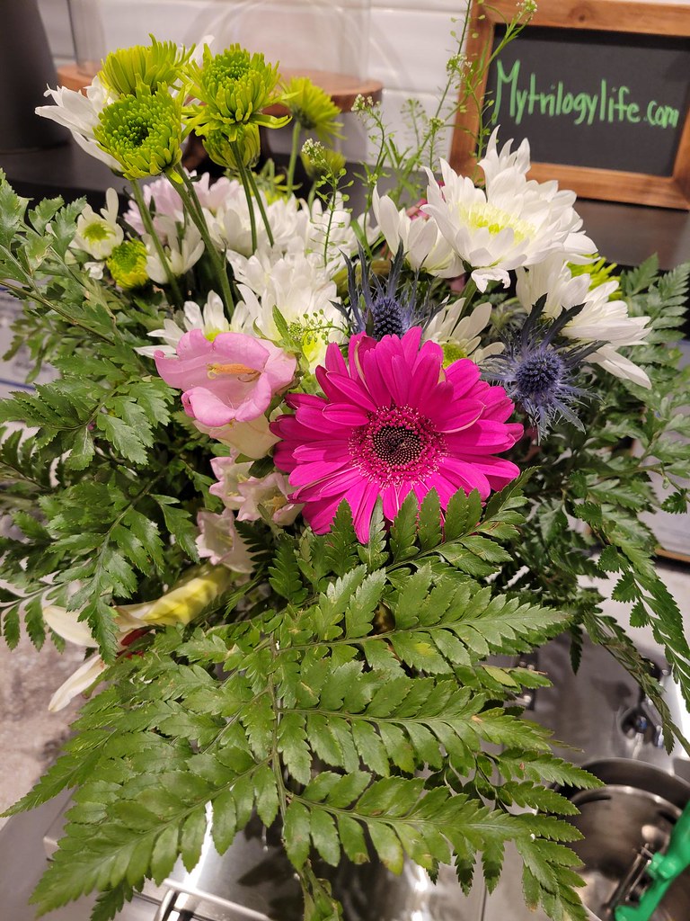 International Flower Day January 2023 Flickr