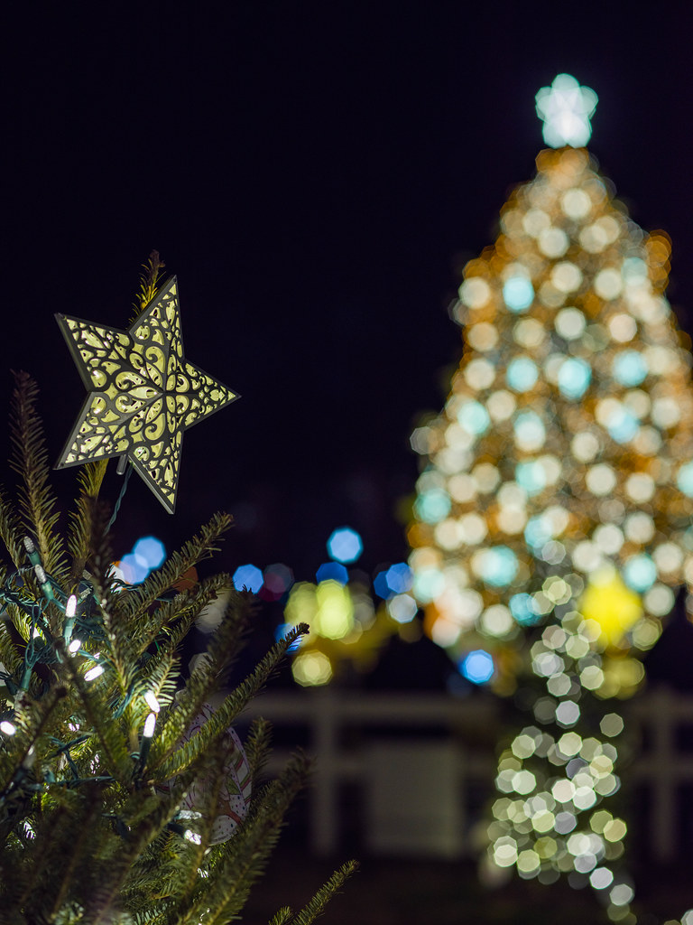 Whitehouse Christmas Tree (2) astrickla Flickr