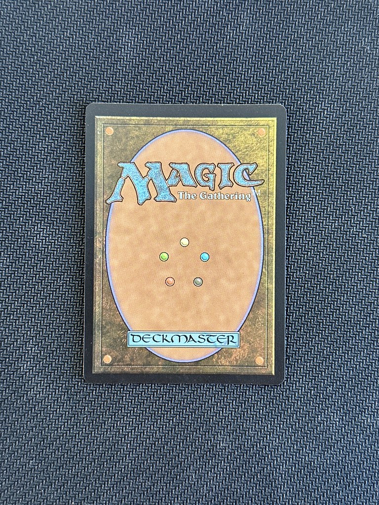 4. Mystic 23.01.2023 NMLP Back Jens Arndt Flickr