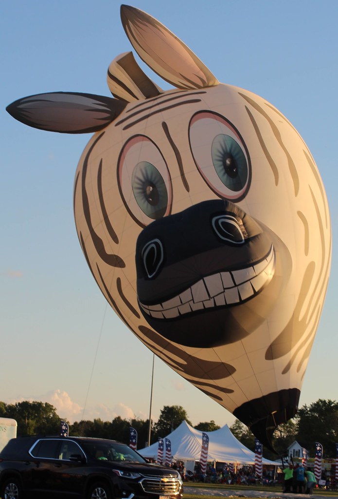 N20ZB (PPXPX) Name Mister Z Pilot/Owner Dan & DJ Stukas… Flickr