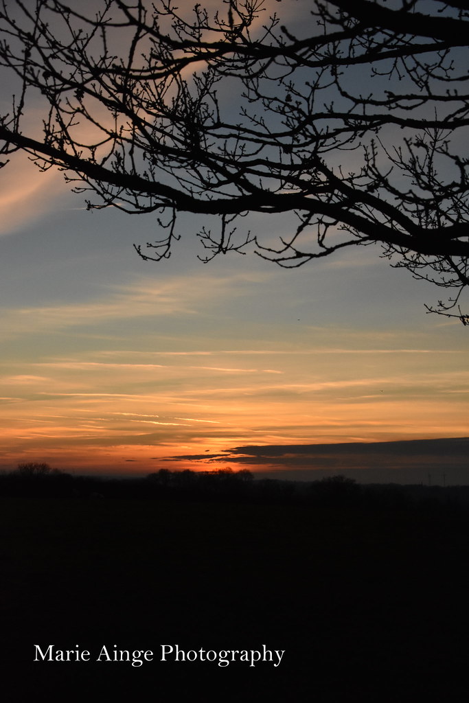 Signs 4 Sunrise A beautiful sunrise, what a great January … marie ainge Flickr