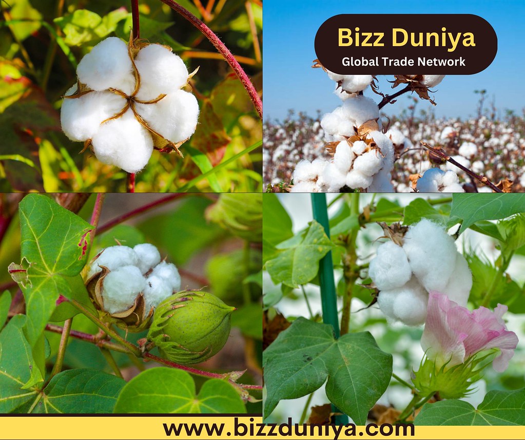 Top 10 Exporting India Cotton Export Companies Cotton expo… Flickr