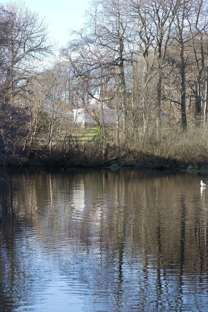 Reflections,Walker Dam,Aberdeen_jan 23_1279 Alan Longmuir. Flickr
