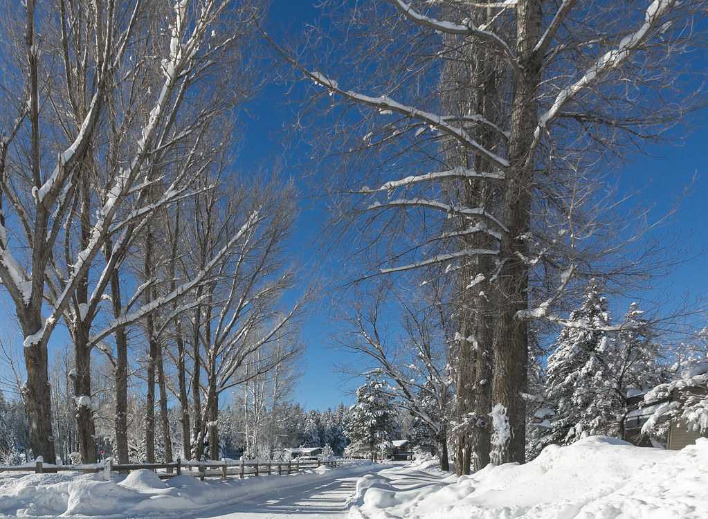 Munds Park a photo on Flickriver