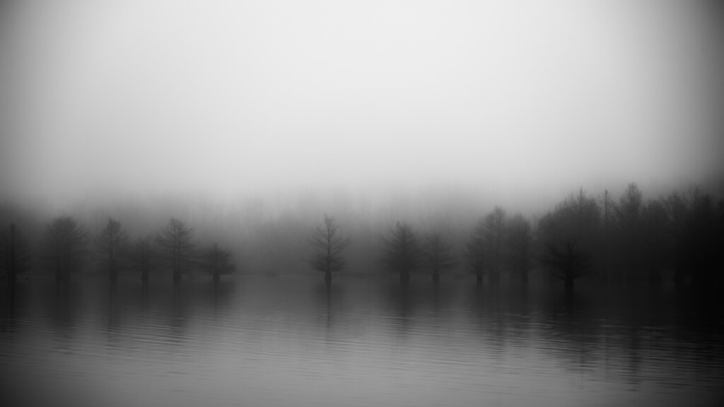 Ghosts of Little Creek Little Creek, North Carolina, USA Flickr