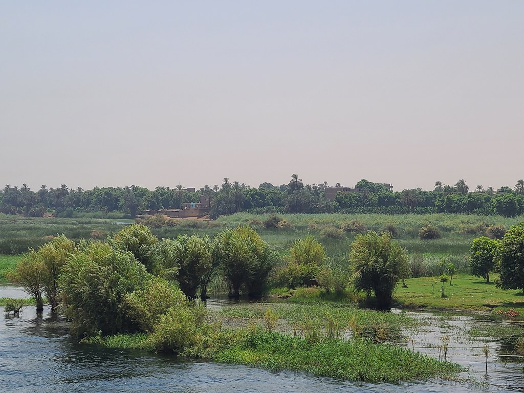 20220831_114657 Wayne Kearney Flickr