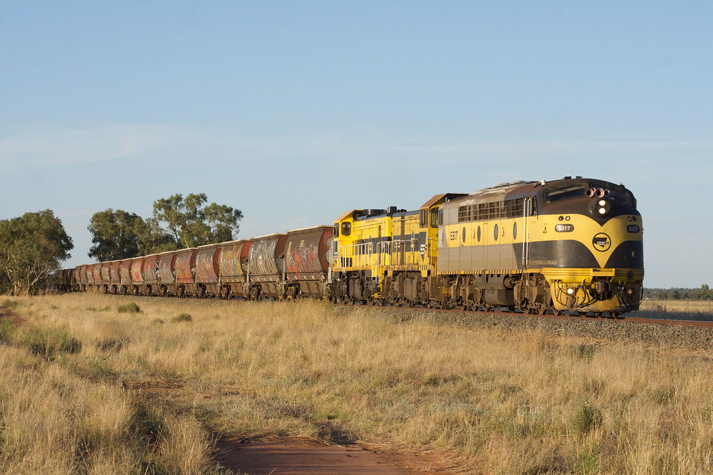 S317 T363 P14 SSR LOADED Grain ex Deniliquin Southdown Flickr