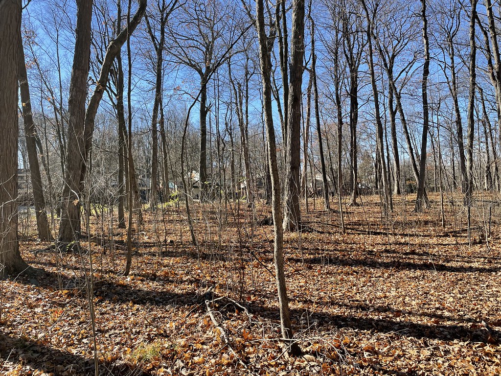 Sugarbush_PP3_2022.11.07 Natural Area Preservation Flickr